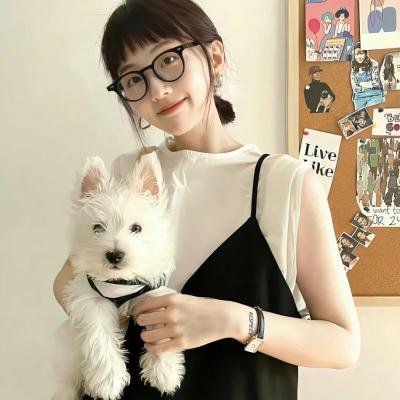 你的情歌