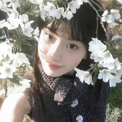 校花驾到之极品校花