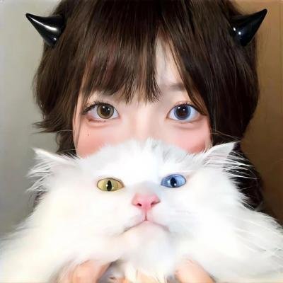 023档案